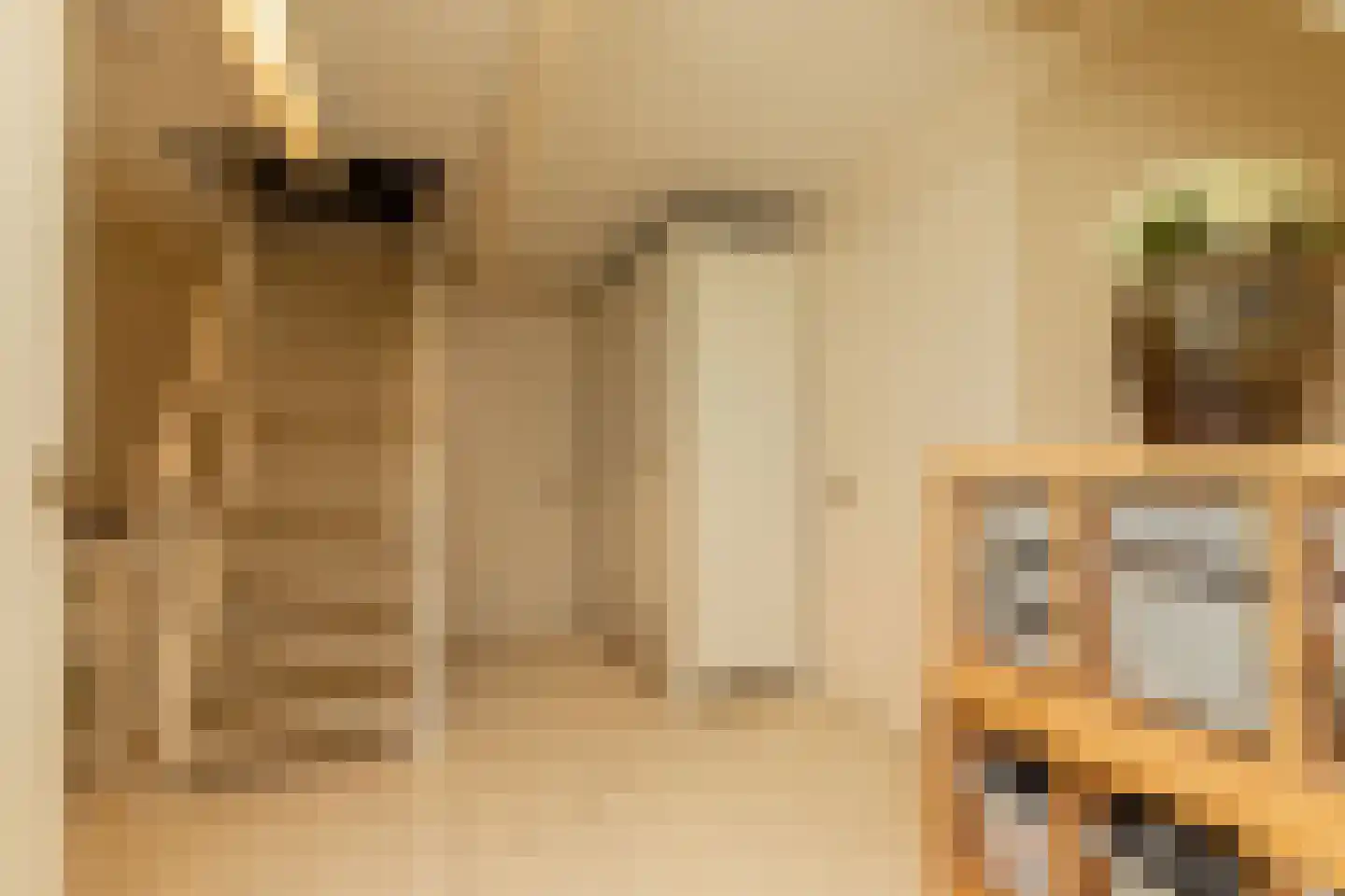 Singelstraat 9 Middelburg thumbnail 51