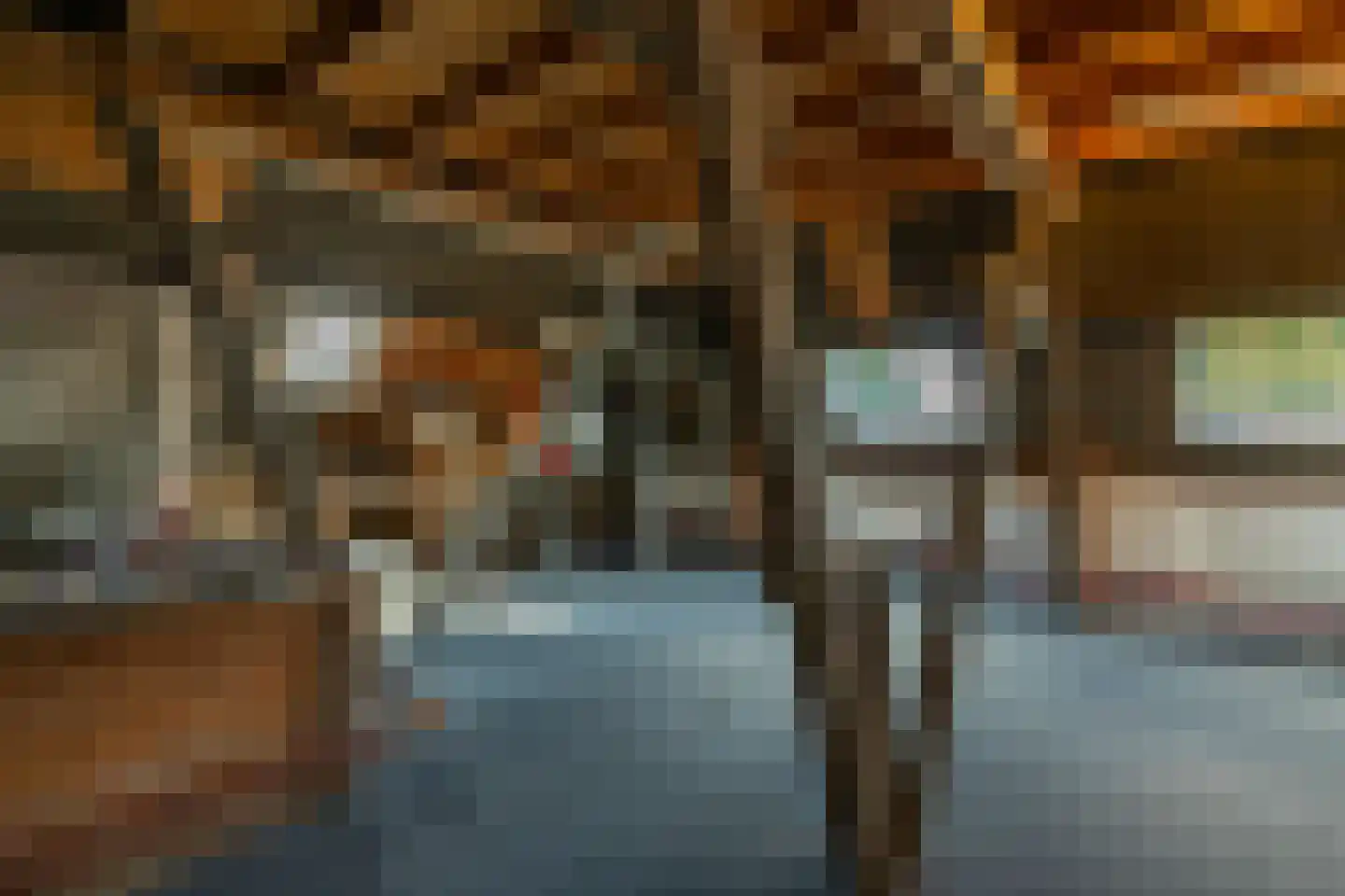 Singelstraat 9 Middelburg thumbnail 52