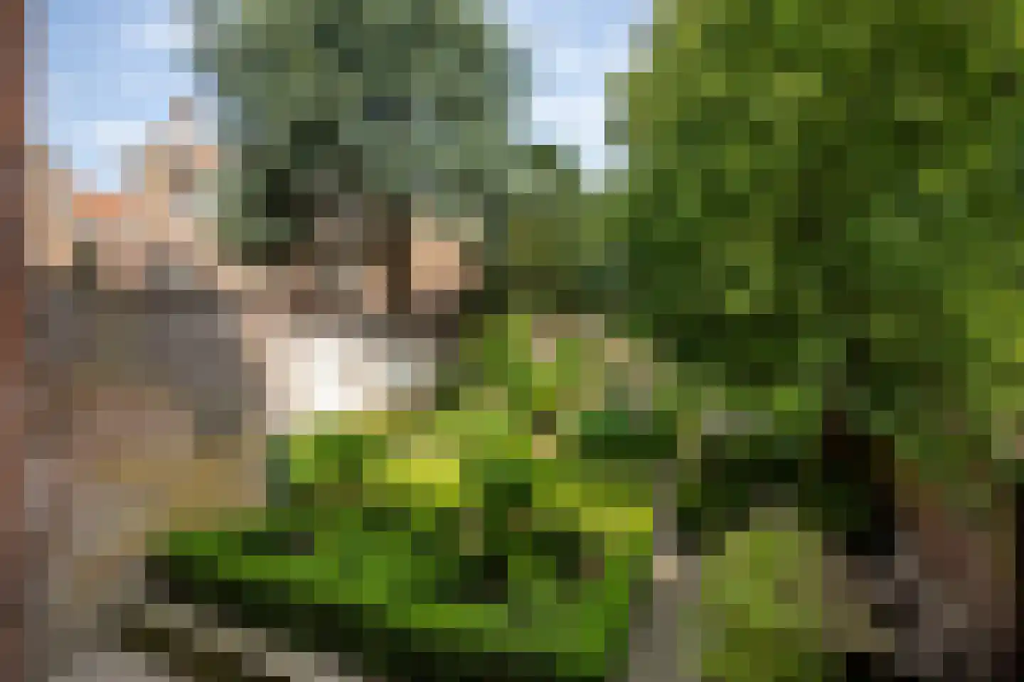 Singelstraat 9 Middelburg thumbnail 64