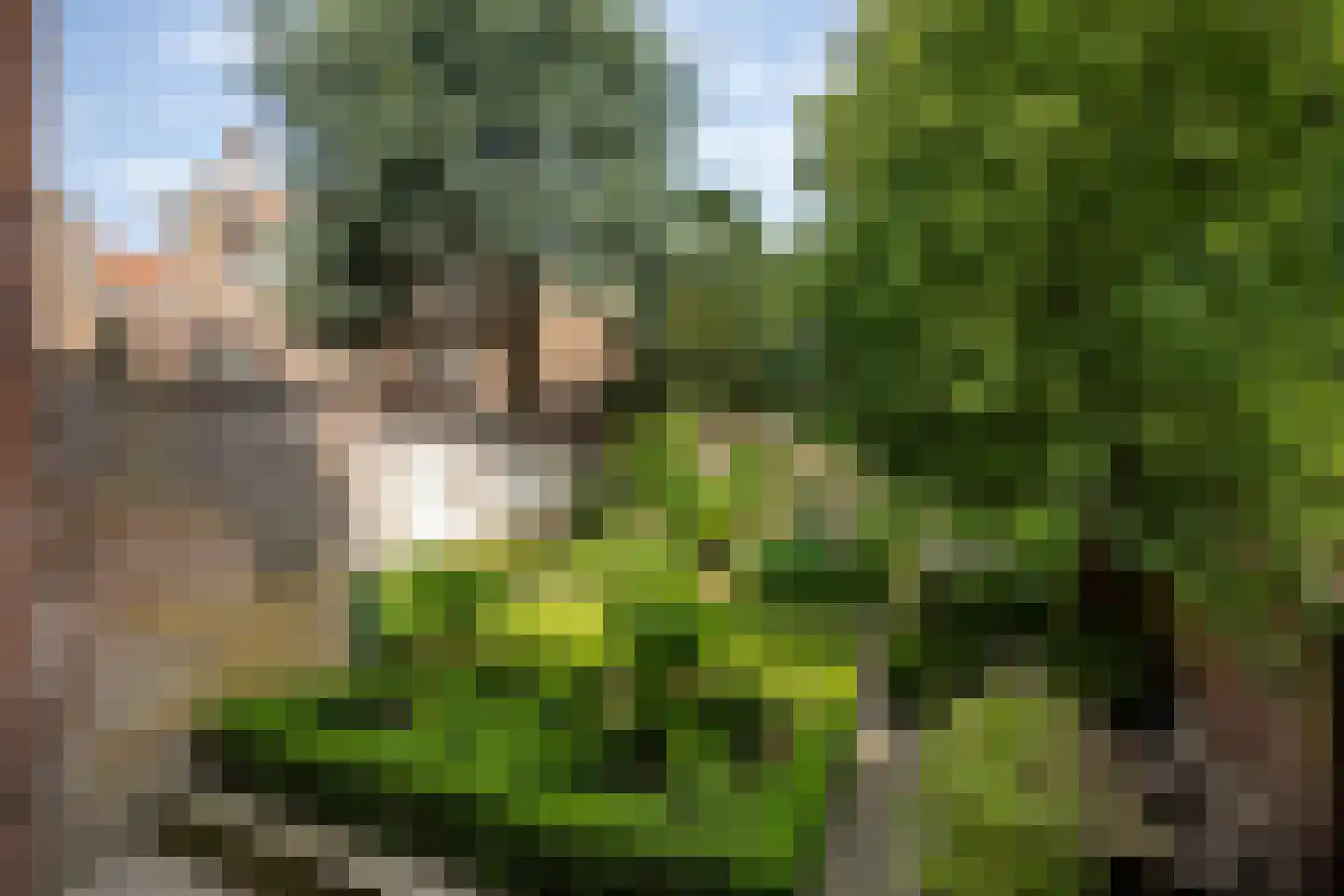 Singelstraat 9 Middelburg thumbnail 64