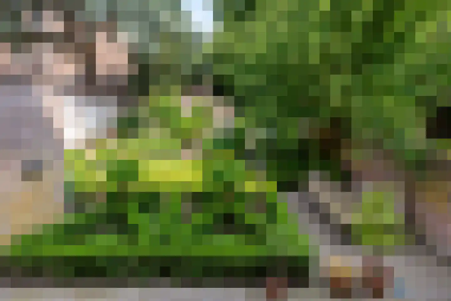 Singelstraat 9 Middelburg thumbnail 67