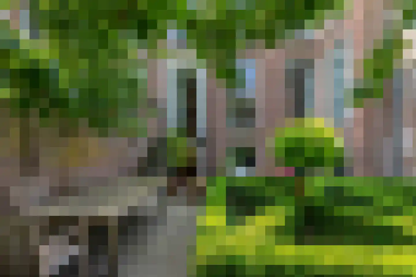 Singelstraat 9 Middelburg thumbnail 71
