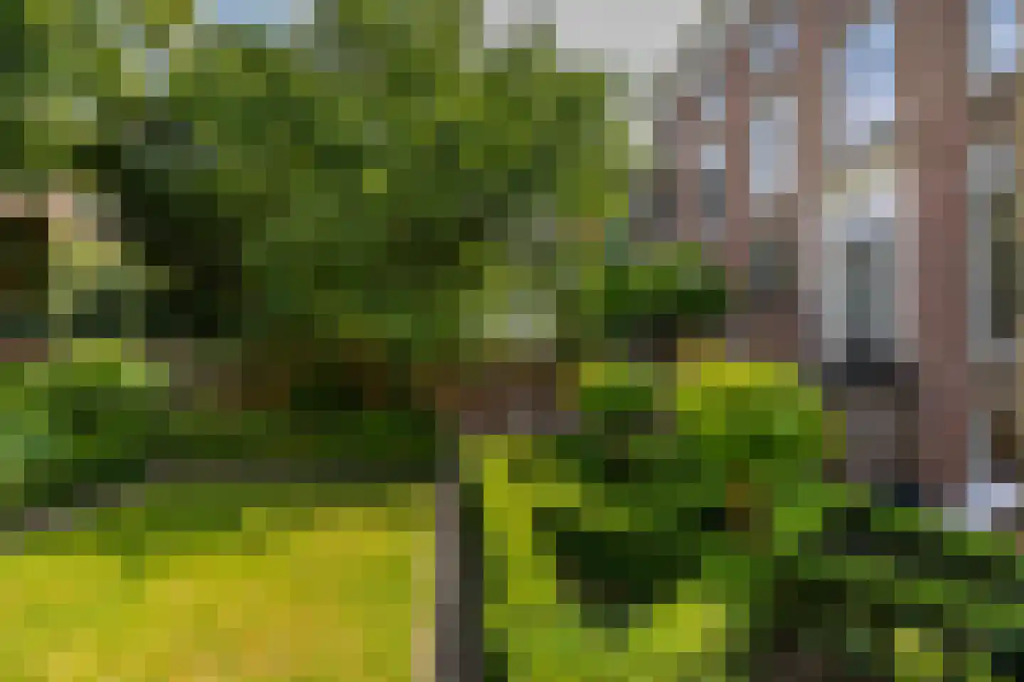 Singelstraat 9 Middelburg thumbnail 76