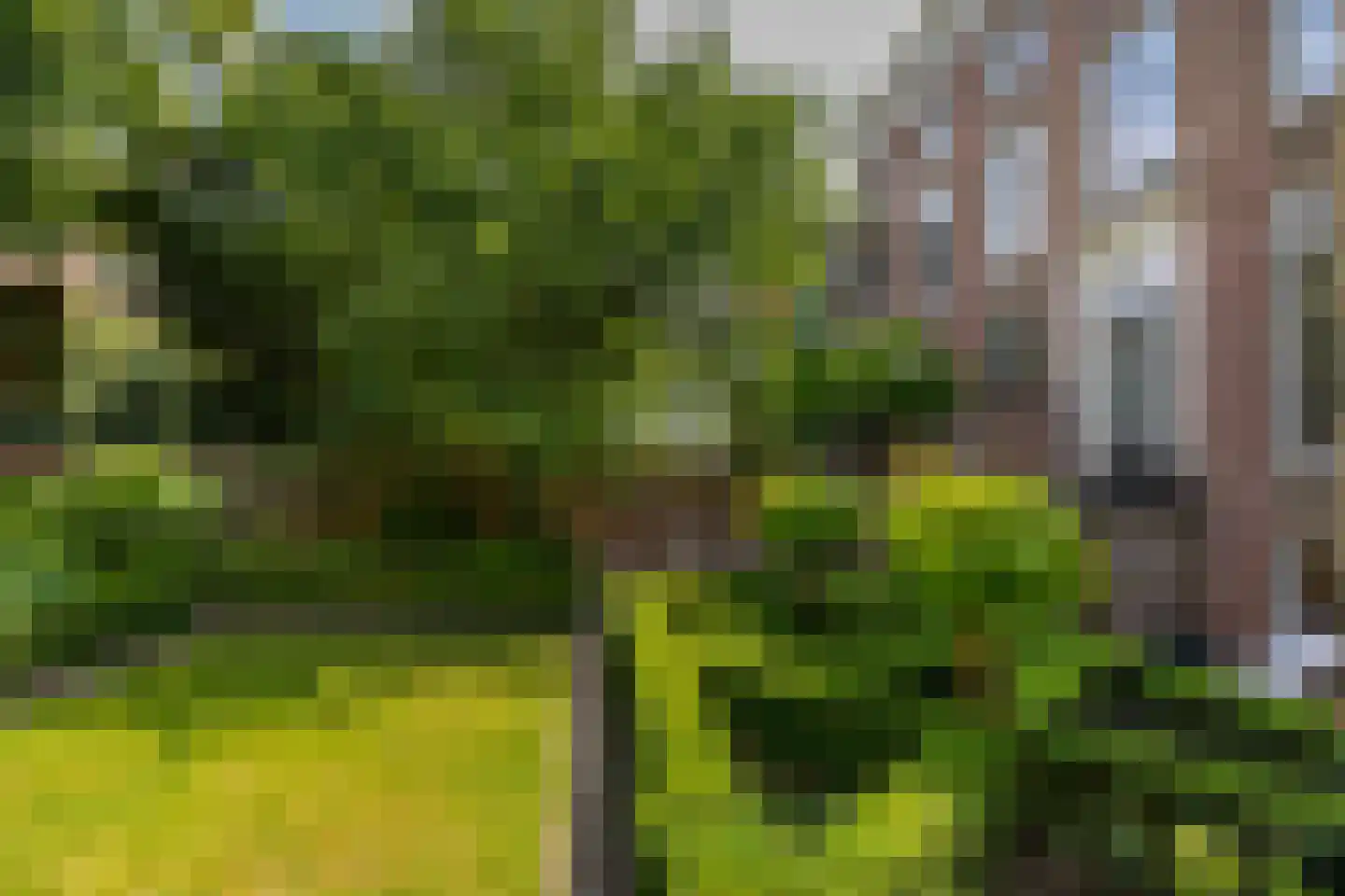 Singelstraat 9 Middelburg thumbnail 76