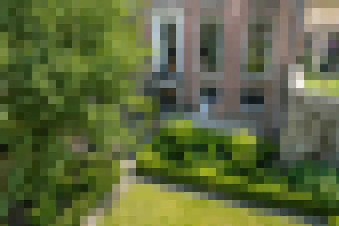 Singelstraat 9 Middelburg thumbnail 81