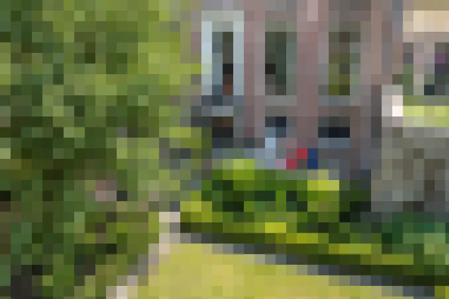 Singelstraat 9 Middelburg thumbnail 81