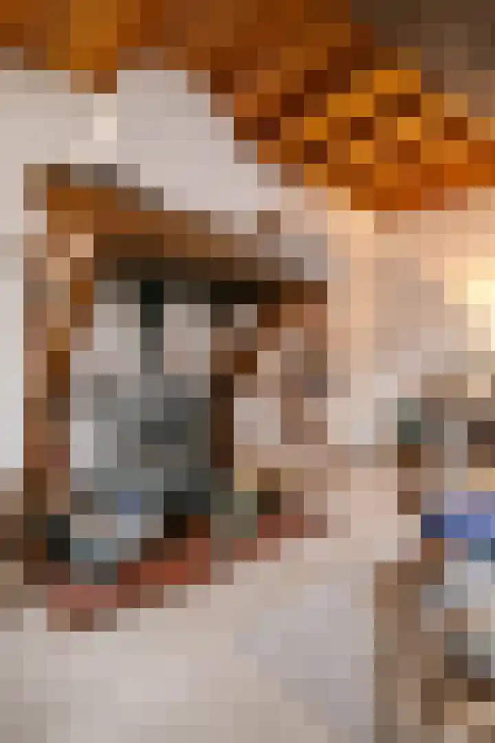 Singelstraat Oost 9 Stevensweert thumbnail 10