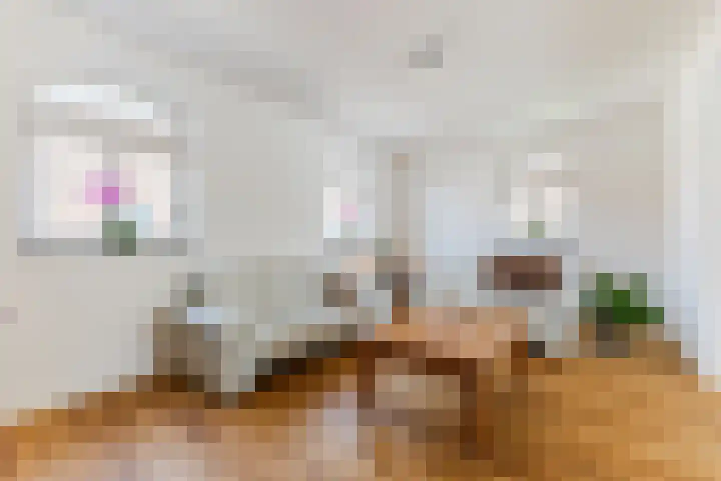 Singelstraat West 1 Stevensweert thumbnail 13