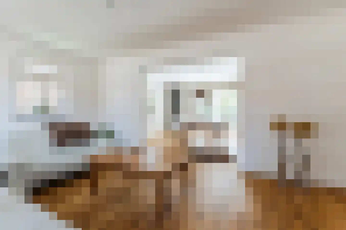 Singelstraat West 1 Stevensweert thumbnail 14