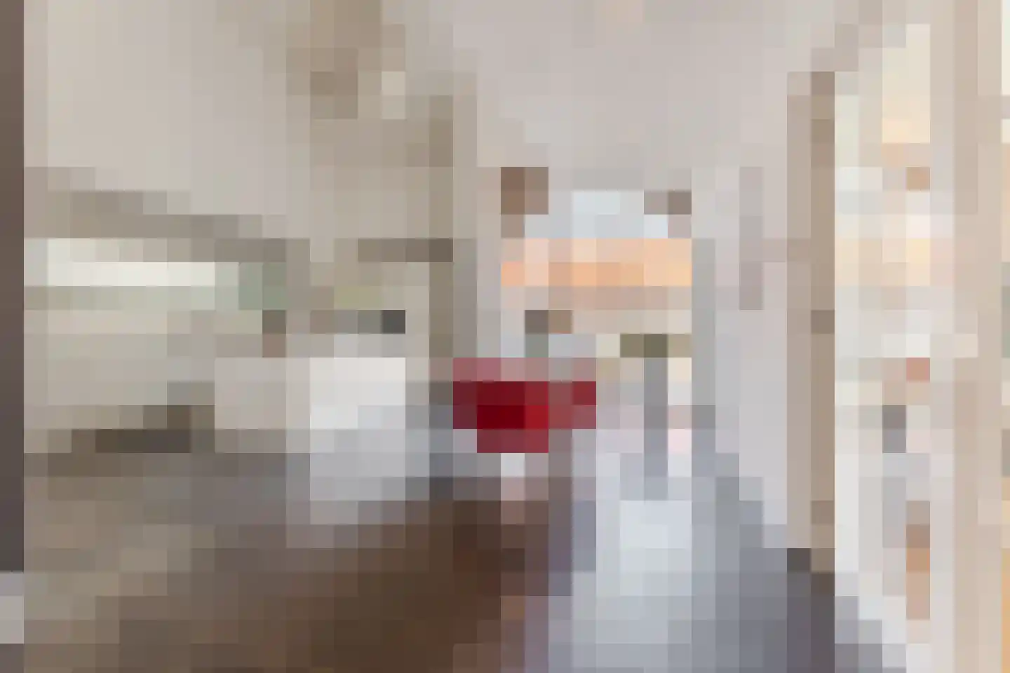 Singelstraat West 1 Stevensweert thumbnail 20