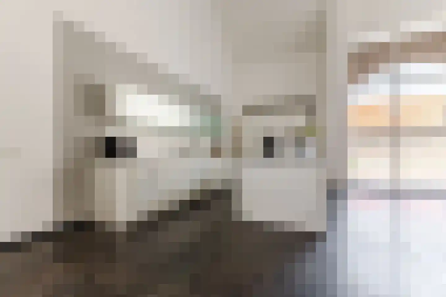 Singelstraat West 1 Stevensweert thumbnail 24