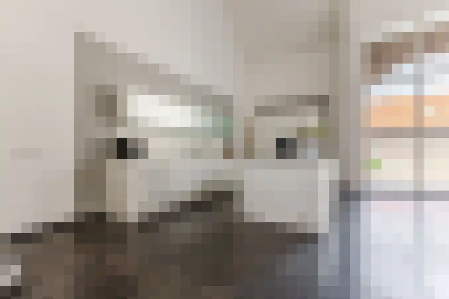 Singelstraat West 1 Stevensweert thumbnail 25