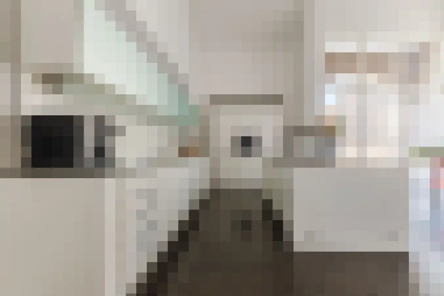 Singelstraat West 1 Stevensweert thumbnail 26