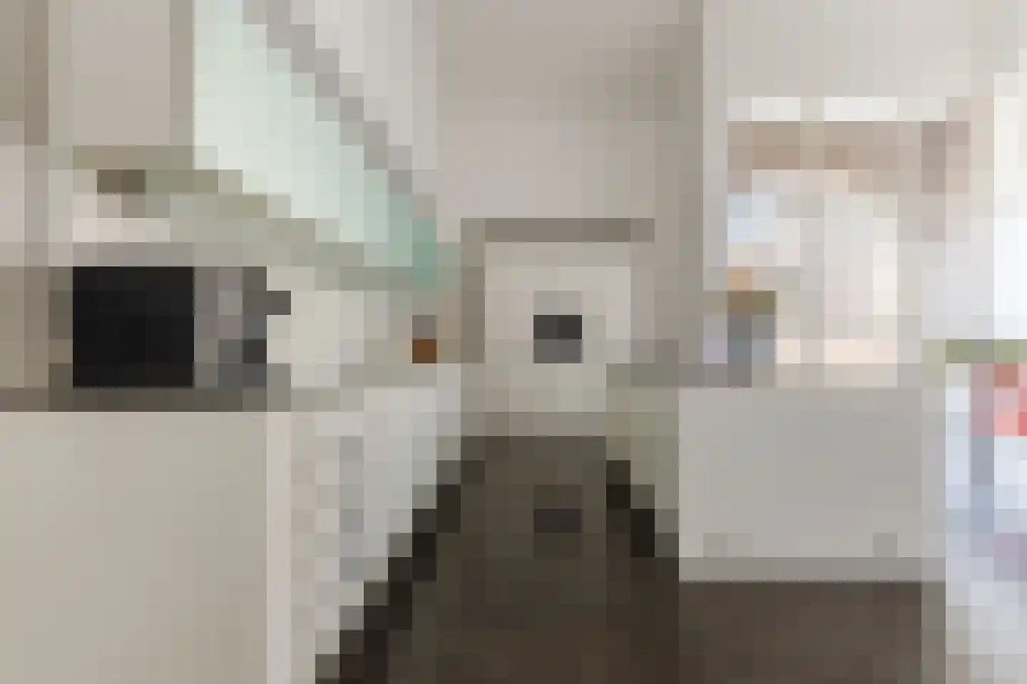 Singelstraat West 1 Stevensweert thumbnail 27