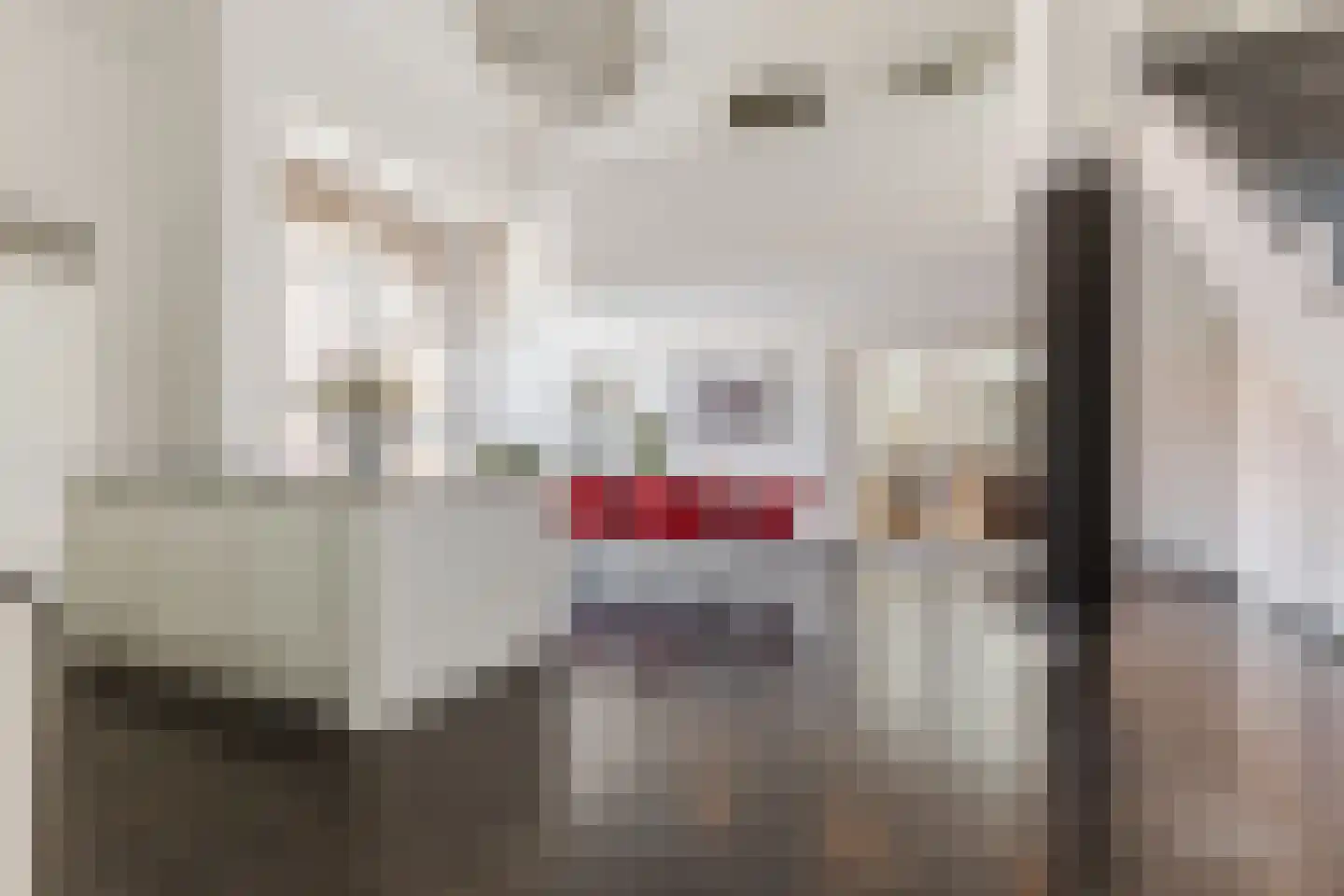 Singelstraat West 1 Stevensweert thumbnail 28