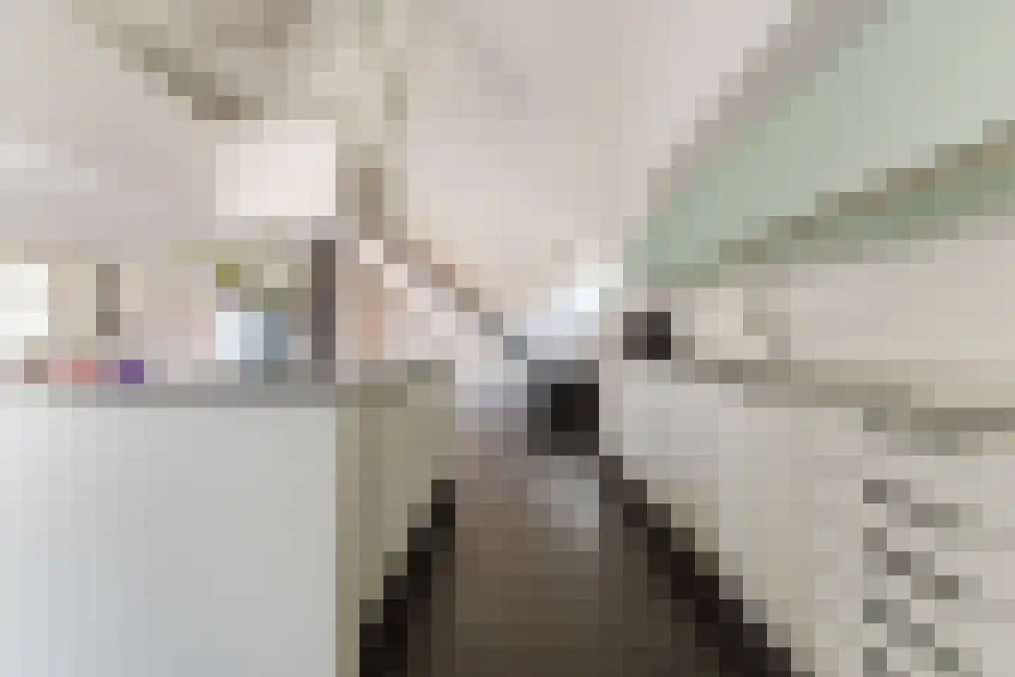 Singelstraat West 1 Stevensweert thumbnail 30