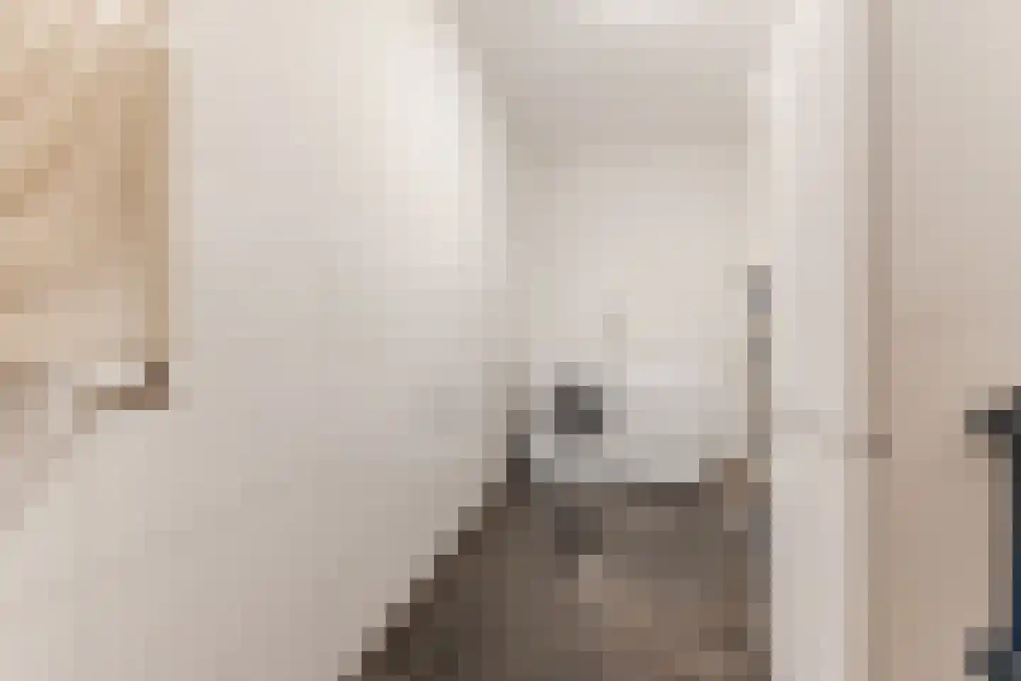 Singelstraat West 1 Stevensweert thumbnail 31
