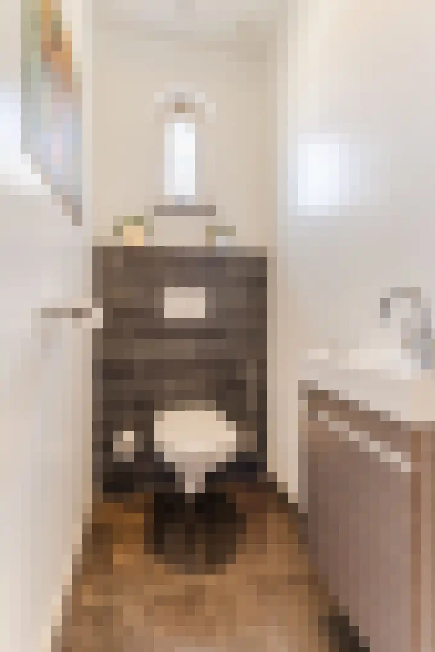 Singelstraat West 1 Stevensweert thumbnail 38