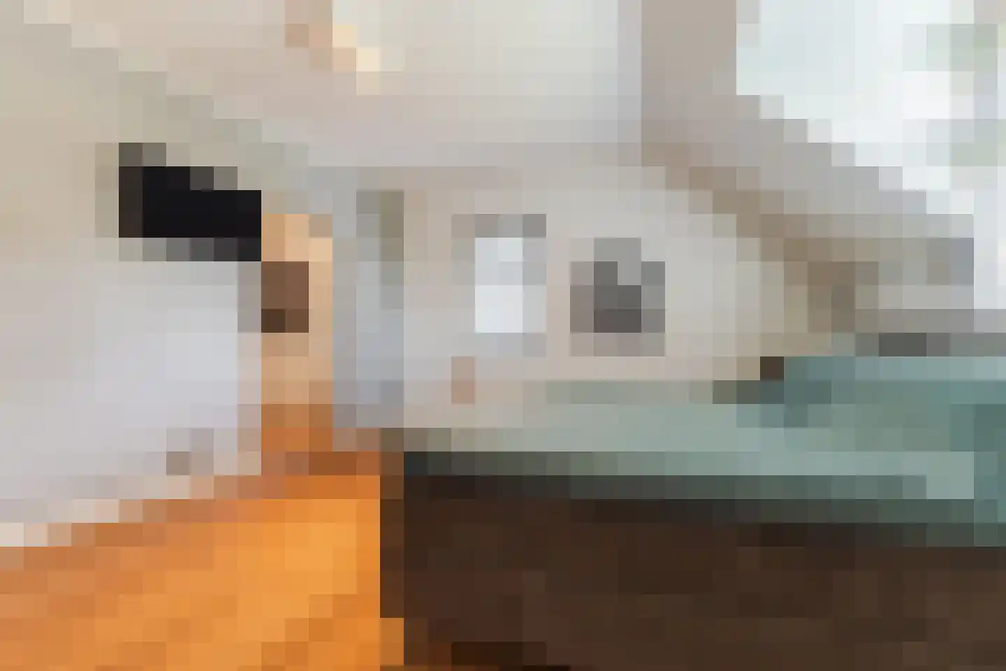 Singelstraat West 1 Stevensweert thumbnail 40