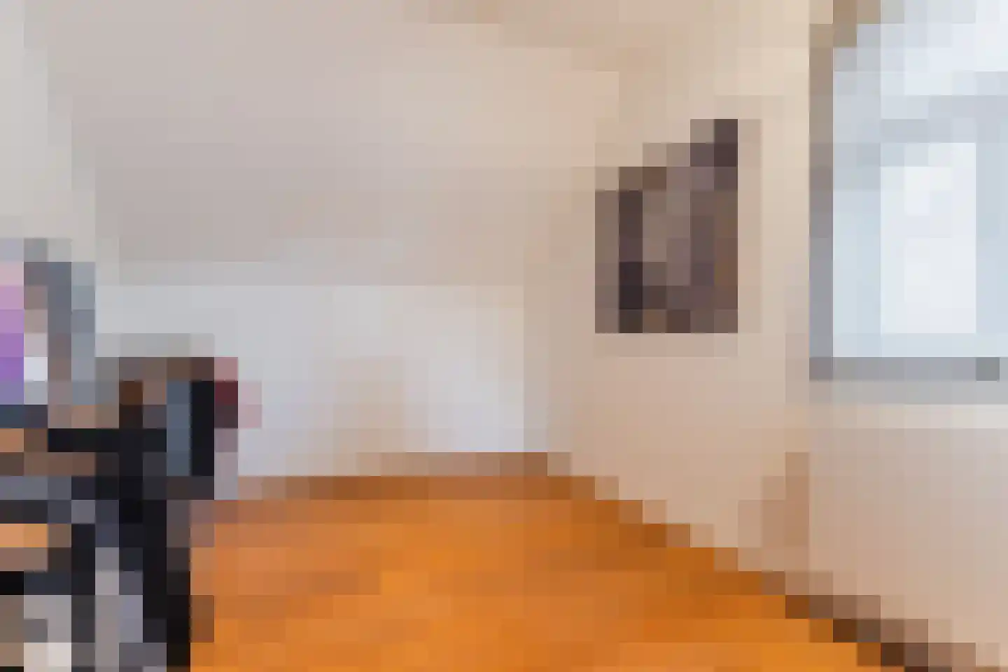 Singelstraat West 1 Stevensweert thumbnail 42