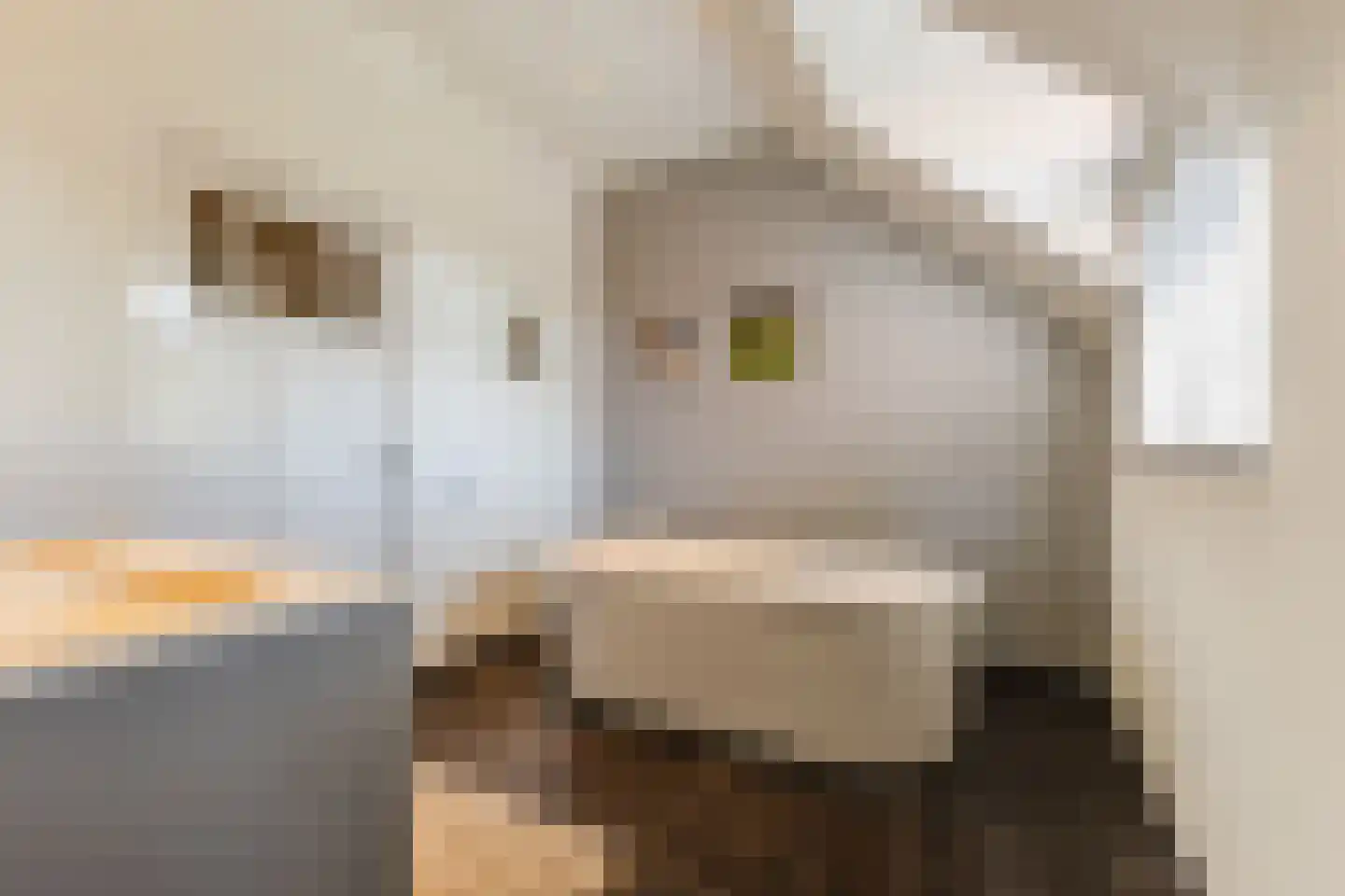 Singelstraat West 1 Stevensweert thumbnail 47