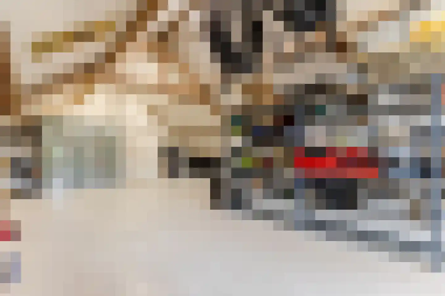 Singelstraat West 1 Stevensweert thumbnail 55