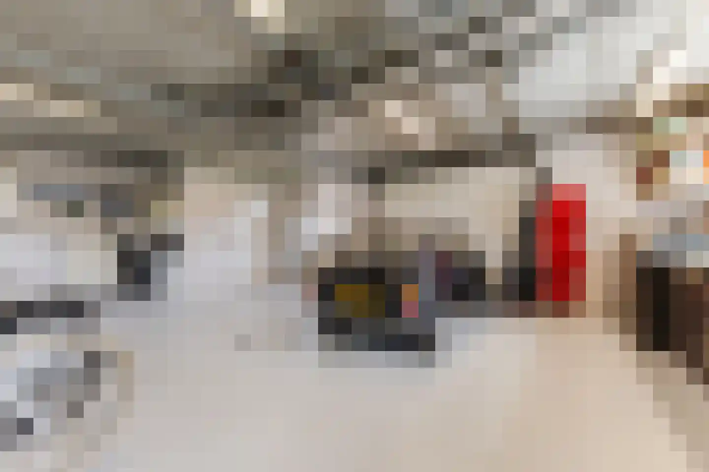 Singelstraat West 1 Stevensweert thumbnail 59