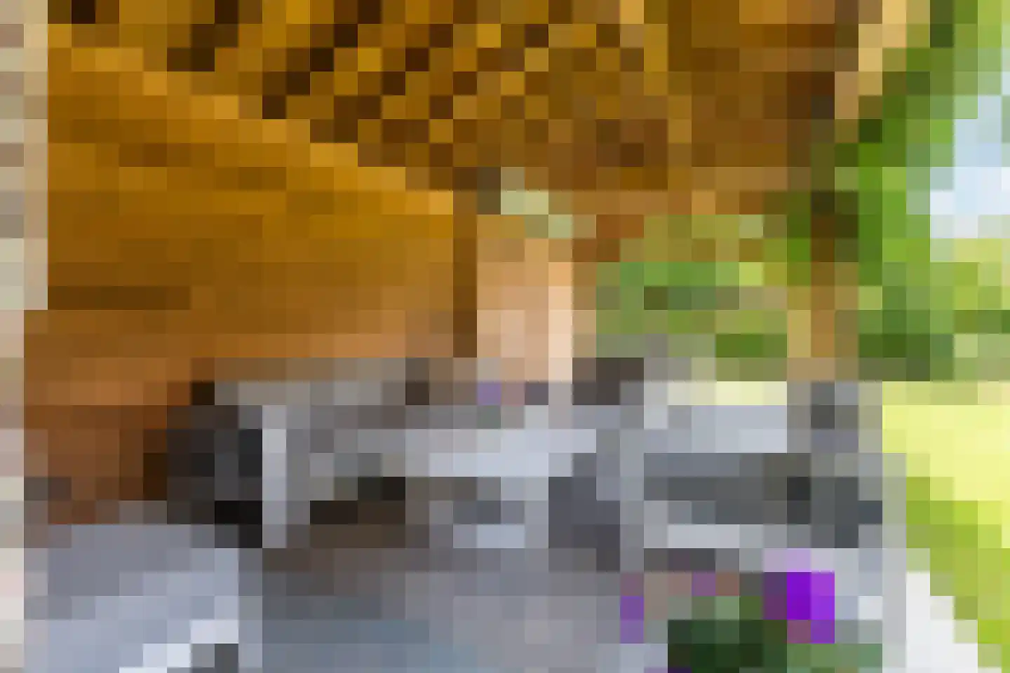 Singelstraat West 1 Stevensweert thumbnail 66