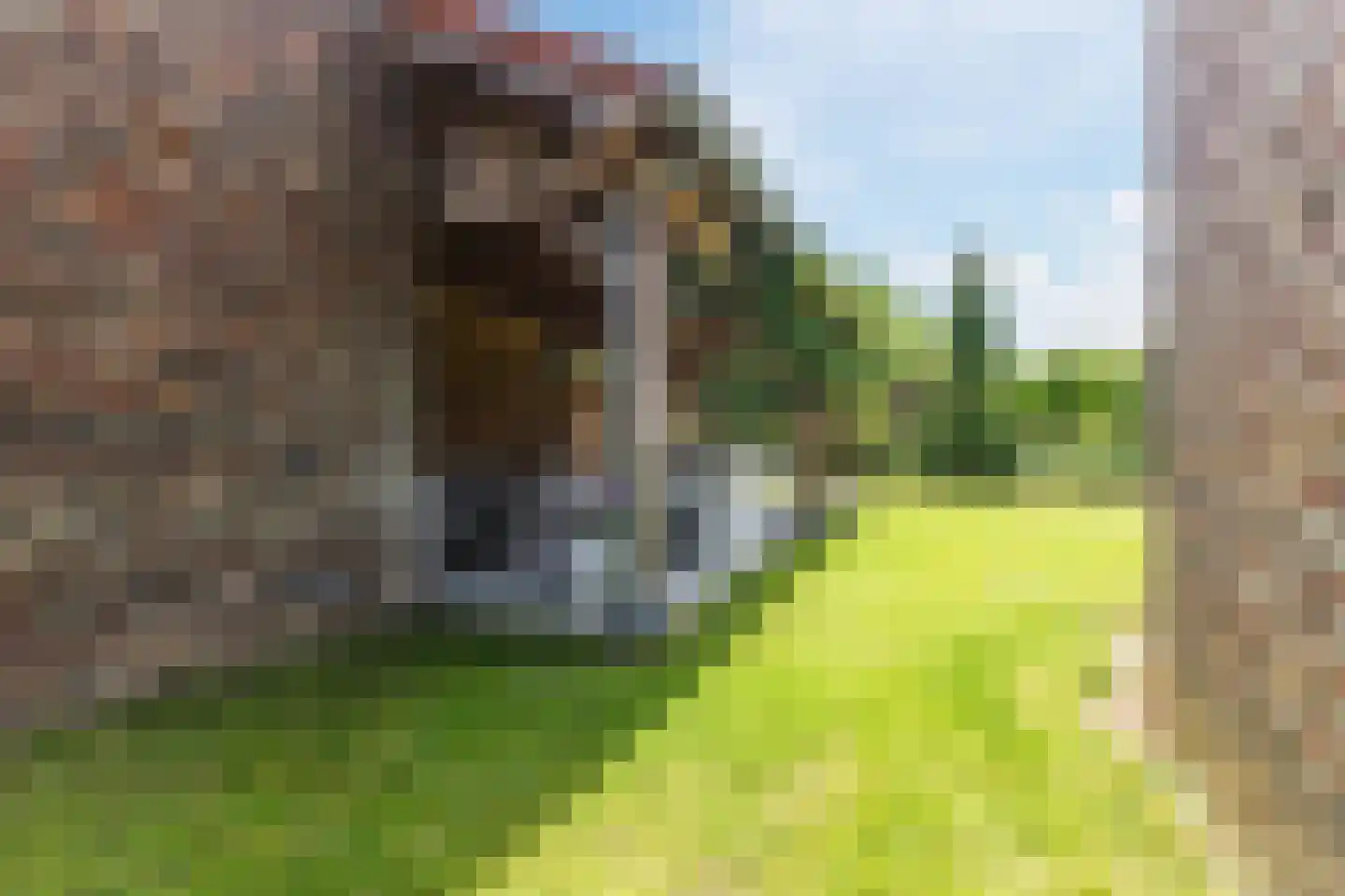 Singelstraat West 1 Stevensweert thumbnail 68