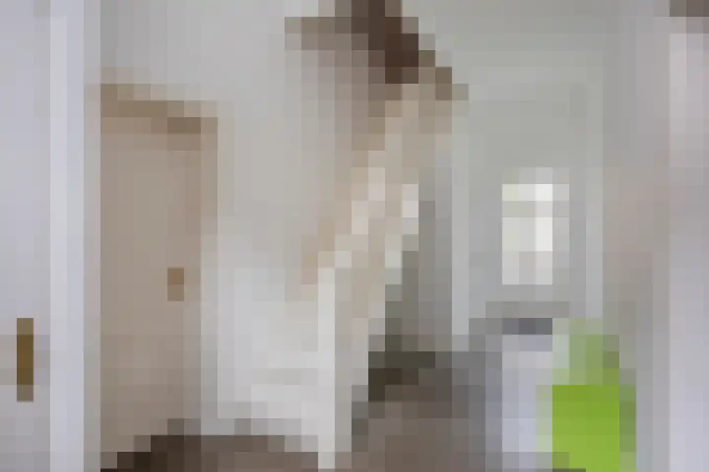 Singelstraat West 15 Stevensweert thumbnail 14