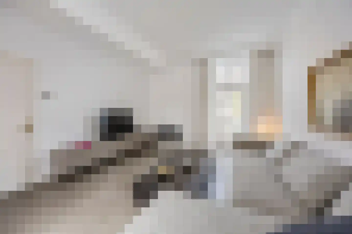 Singelstraat West 15 Stevensweert thumbnail 17