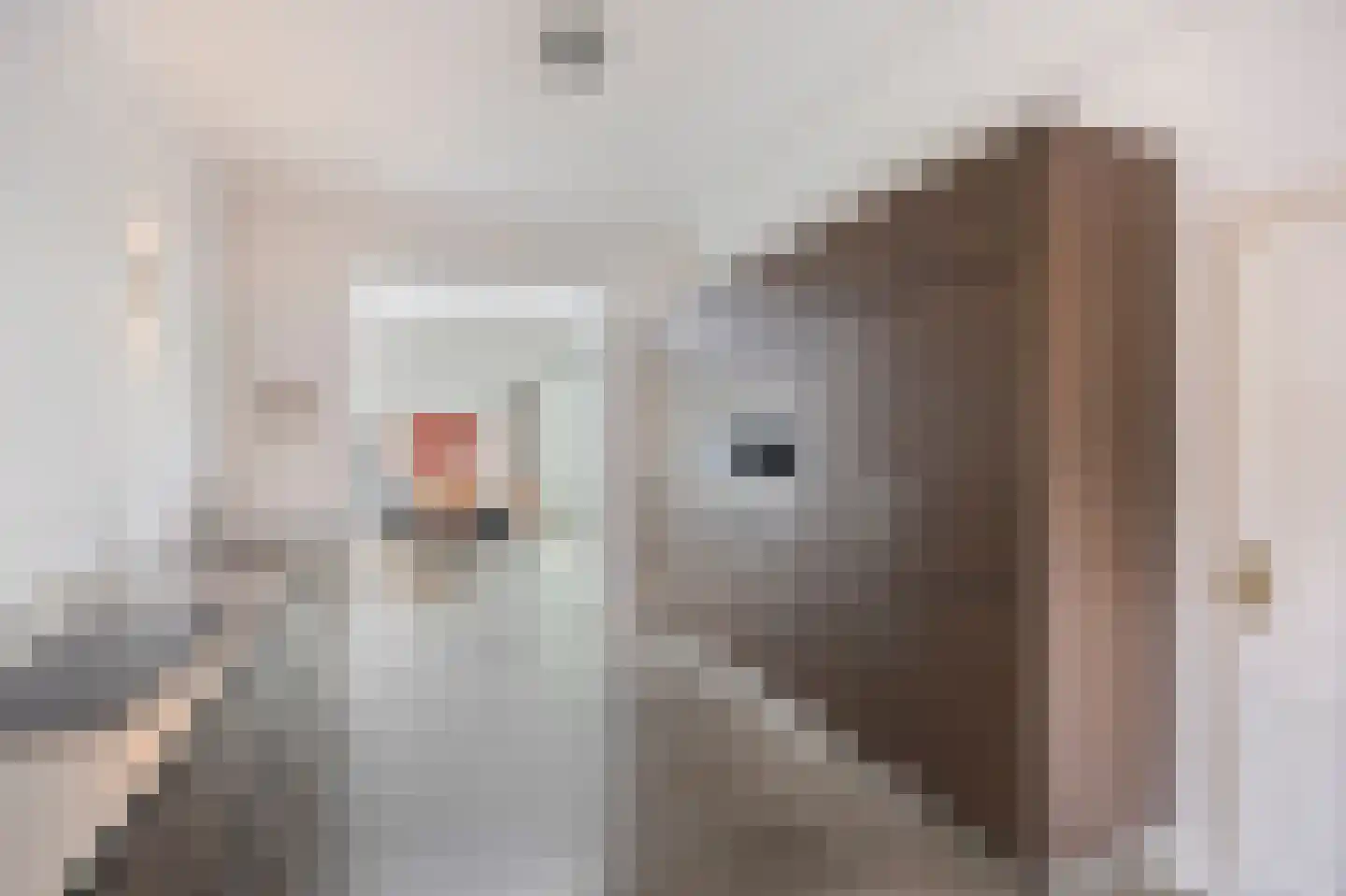 Singelstraat West 15 Stevensweert thumbnail 19