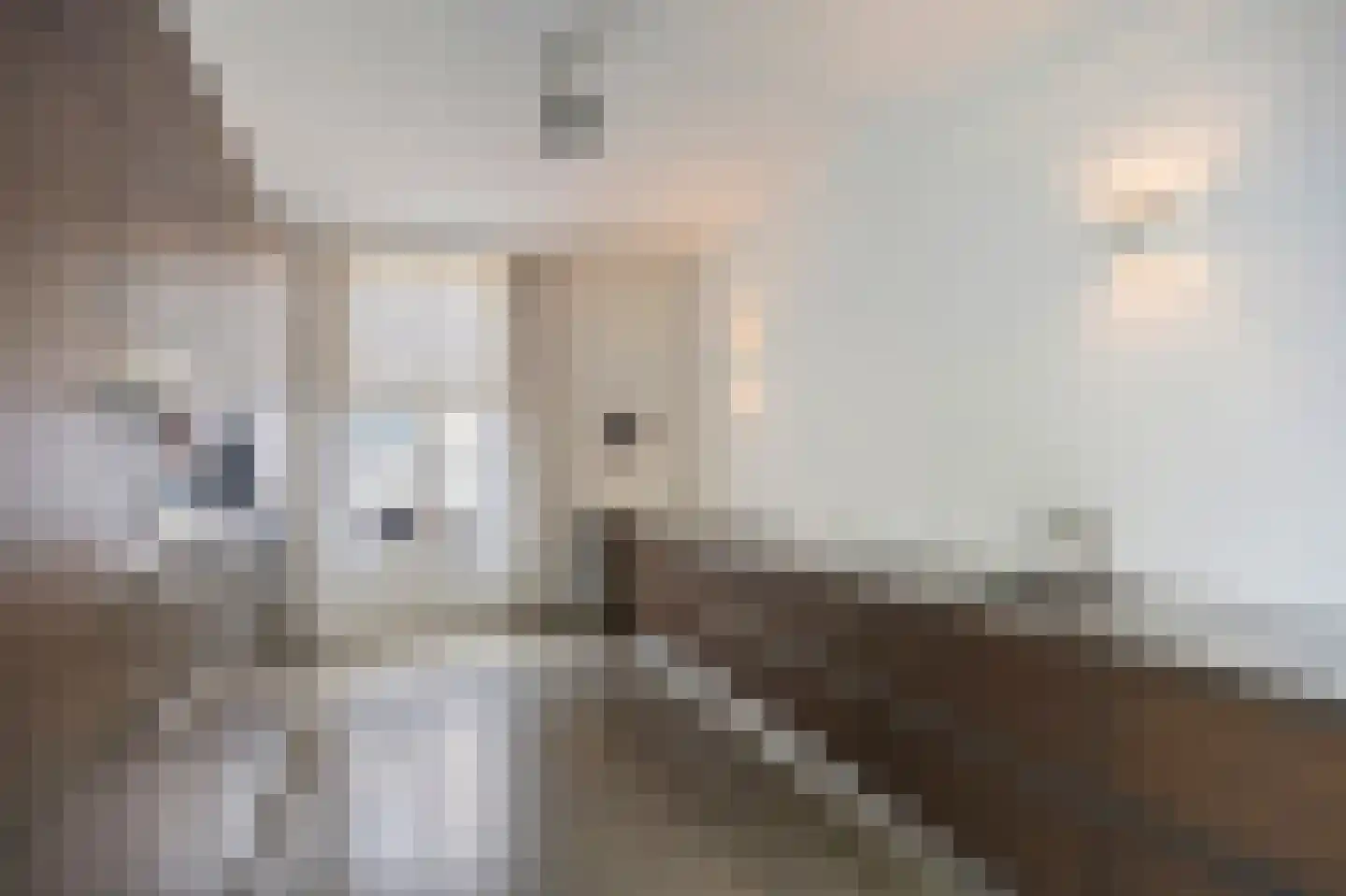 Singelstraat West 15 Stevensweert thumbnail 21