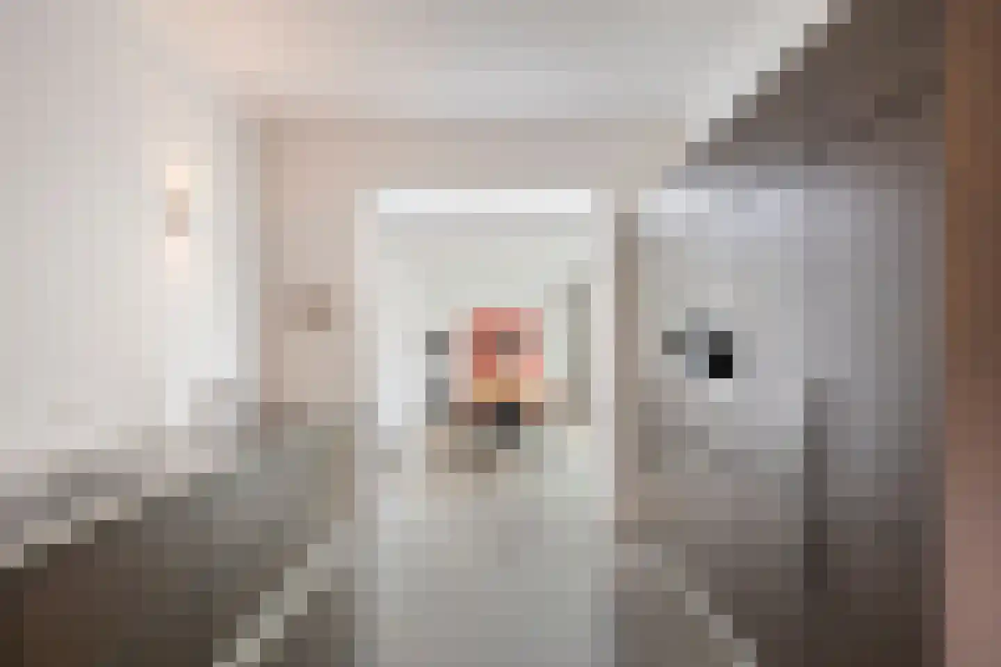 Singelstraat West 15 Stevensweert thumbnail 24