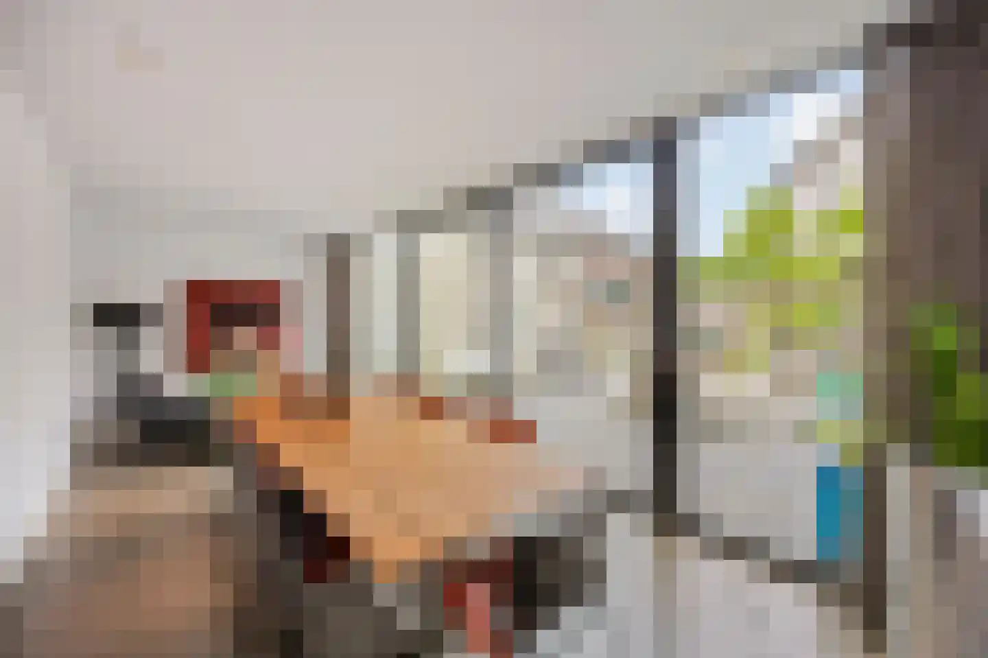 Singelstraat West 15 Stevensweert thumbnail 28