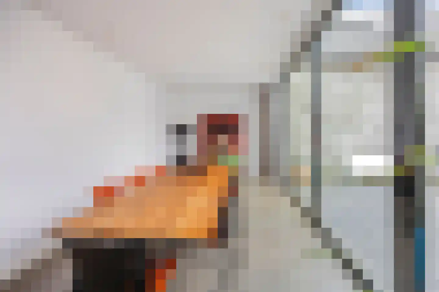 Singelstraat West 15 Stevensweert thumbnail 32