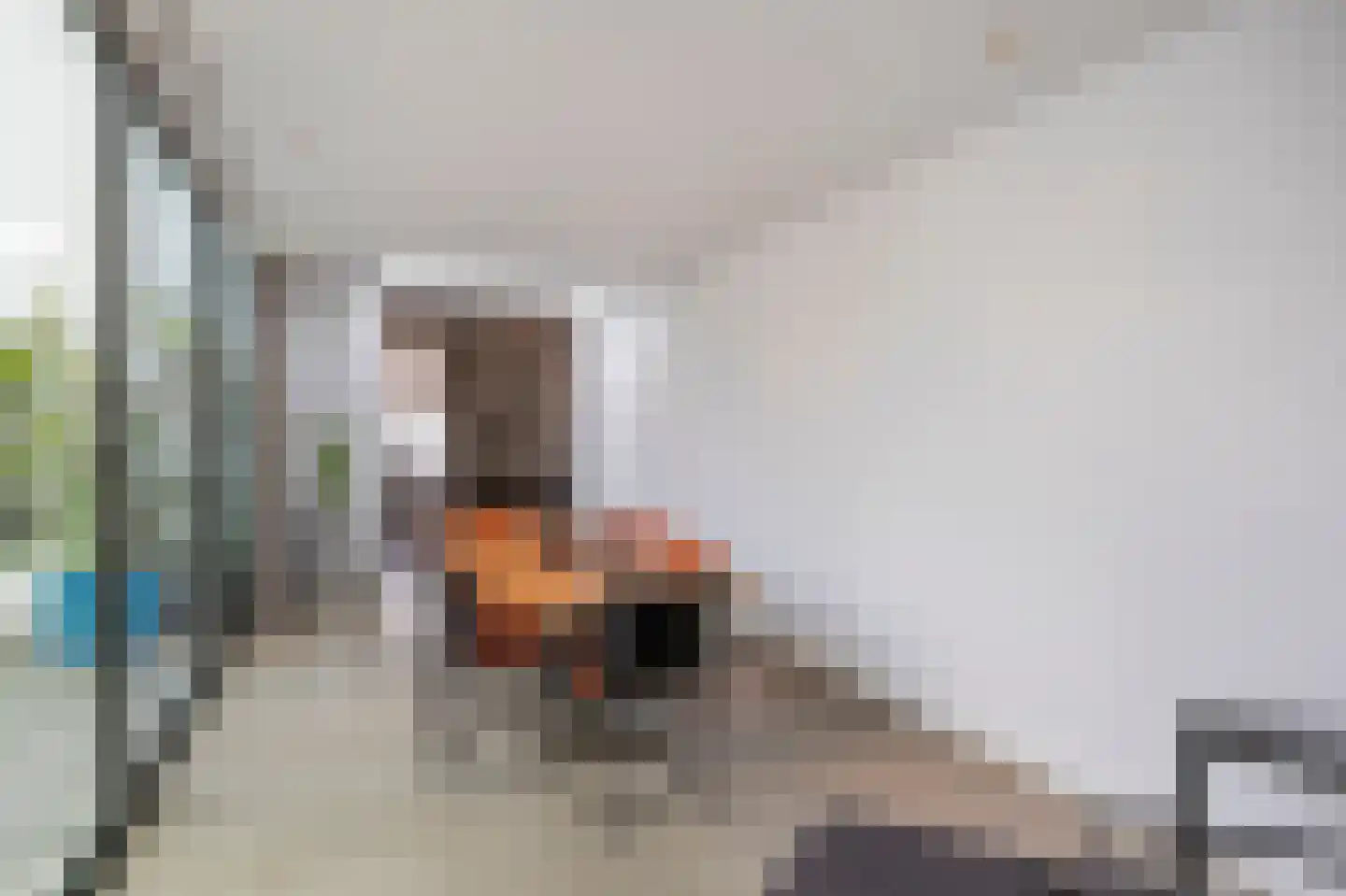 Singelstraat West 15 Stevensweert thumbnail 33