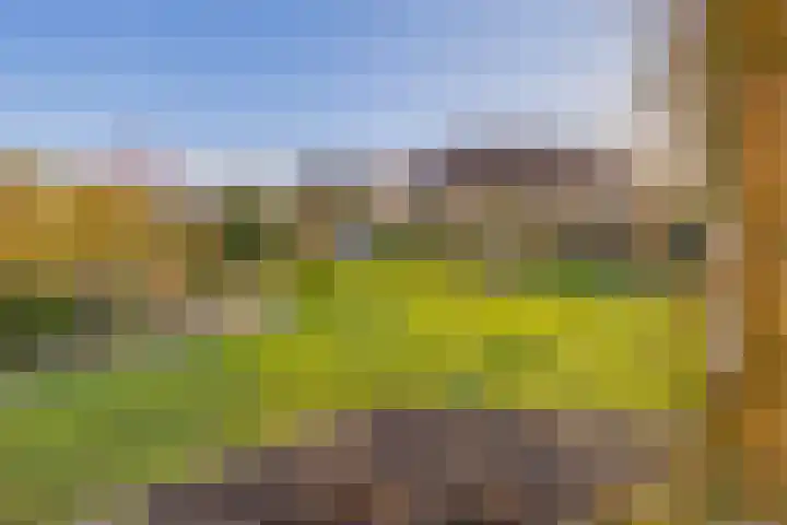 Singelweg 1 B Middelburg thumbnail 30