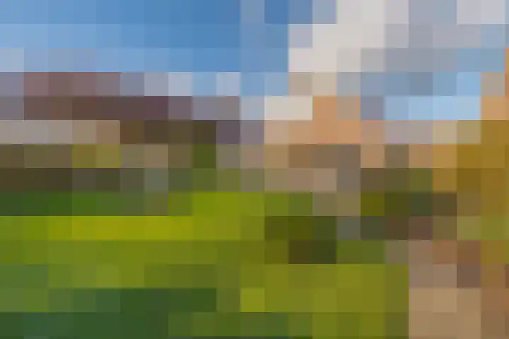 Singelweg 1 B Middelburg thumbnail 31