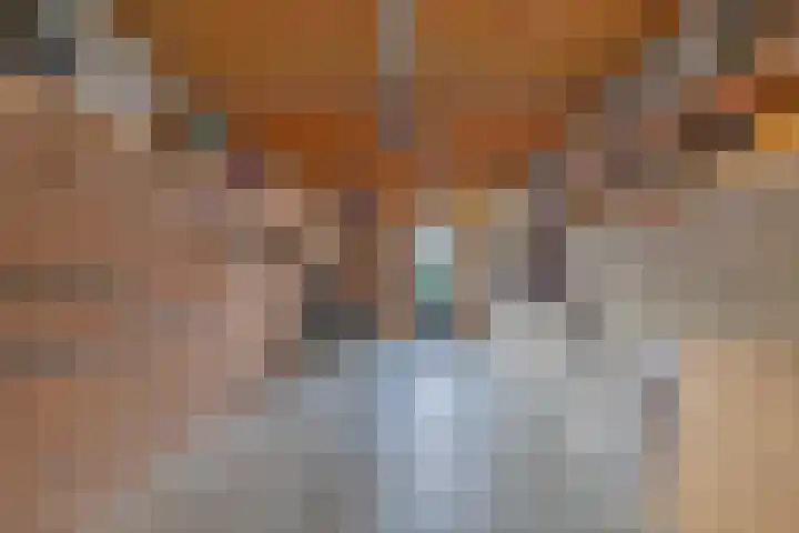 Singelweg 1 B Middelburg thumbnail 38