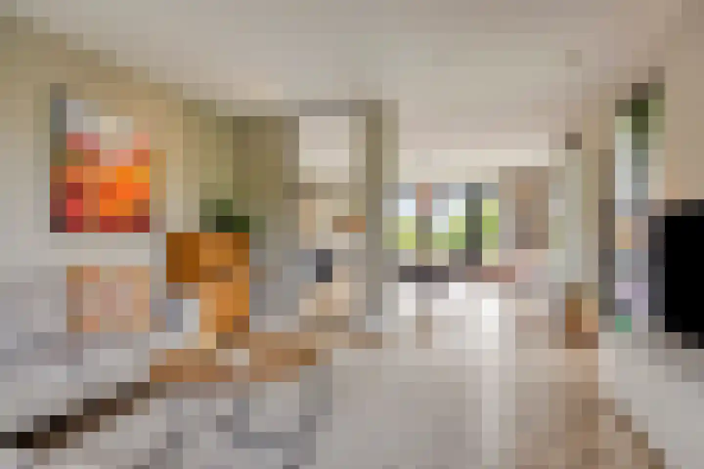 Singelweg 1 c Heerde thumbnail 14