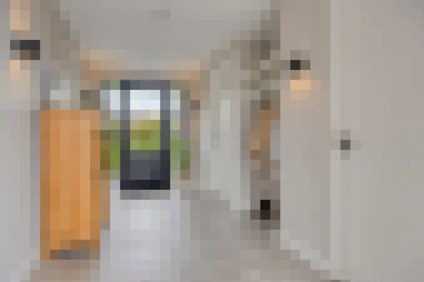 Singelweg 1 c Heerde thumbnail 24