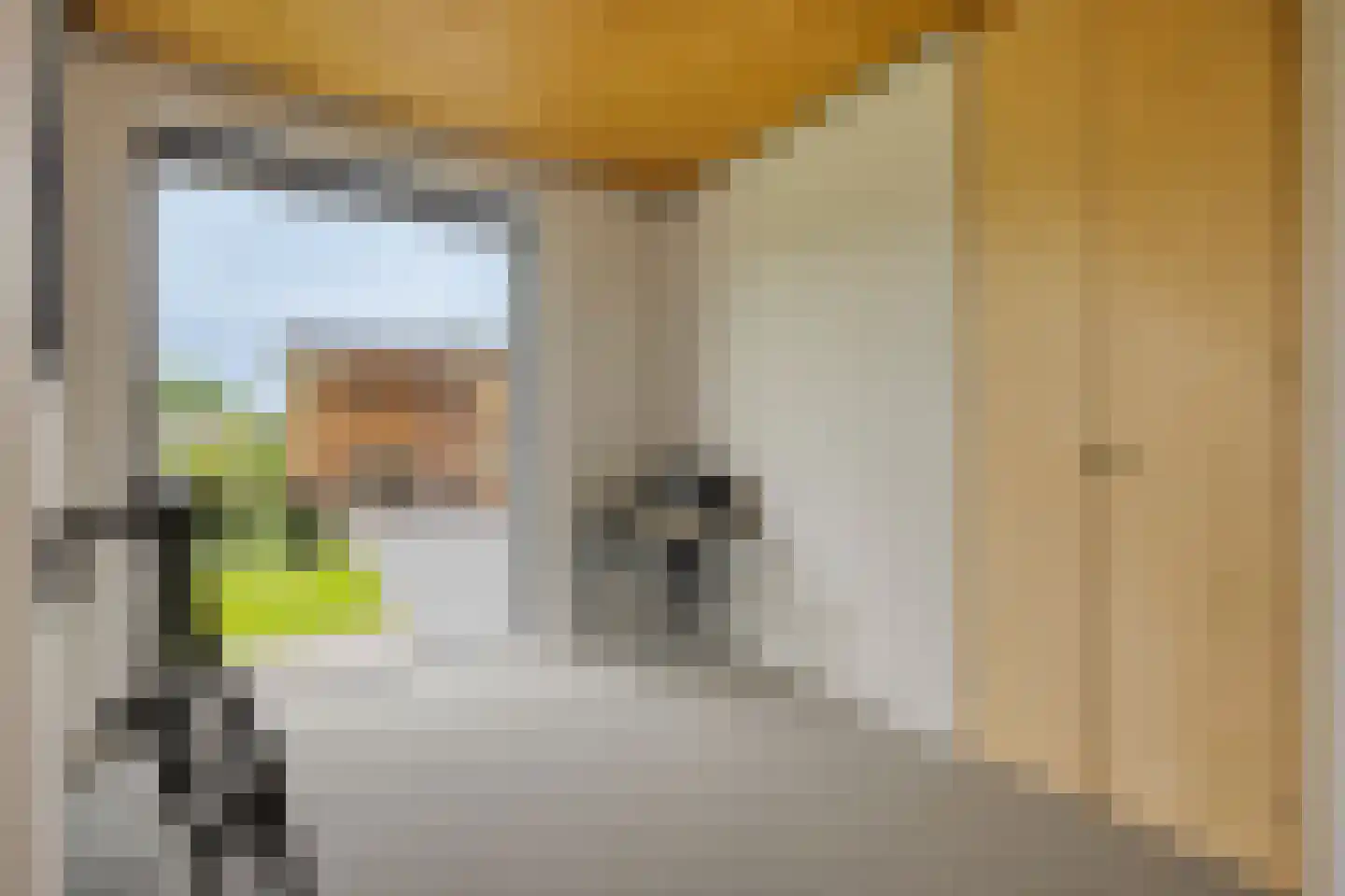 Singelweg 1 c Heerde thumbnail 28