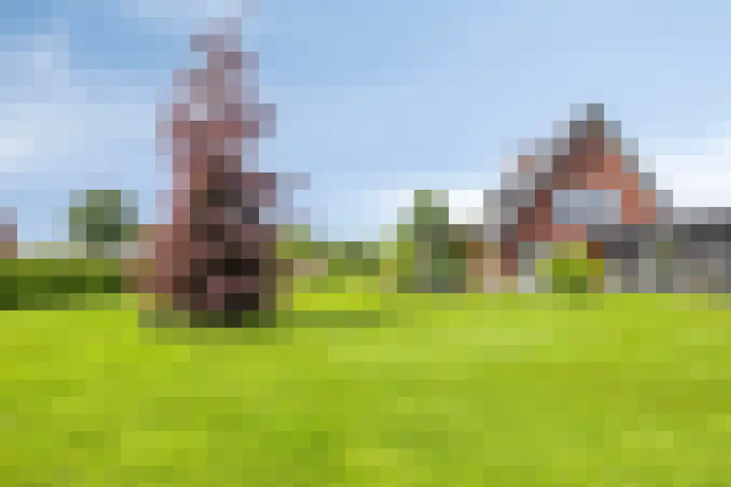 Singelweg 1 c Heerde thumbnail 58