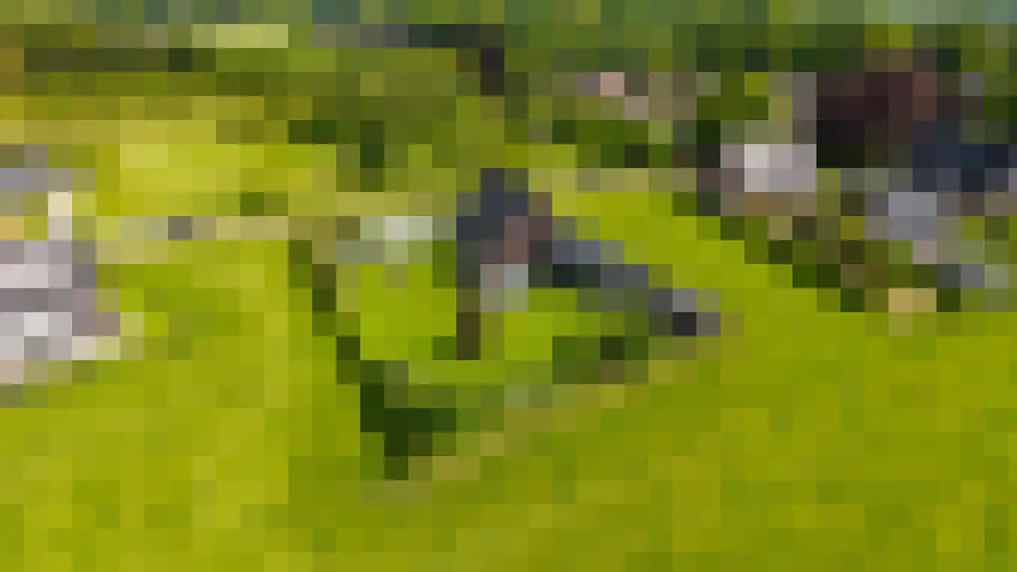 Singelweg 1 c Heerde thumbnail 64