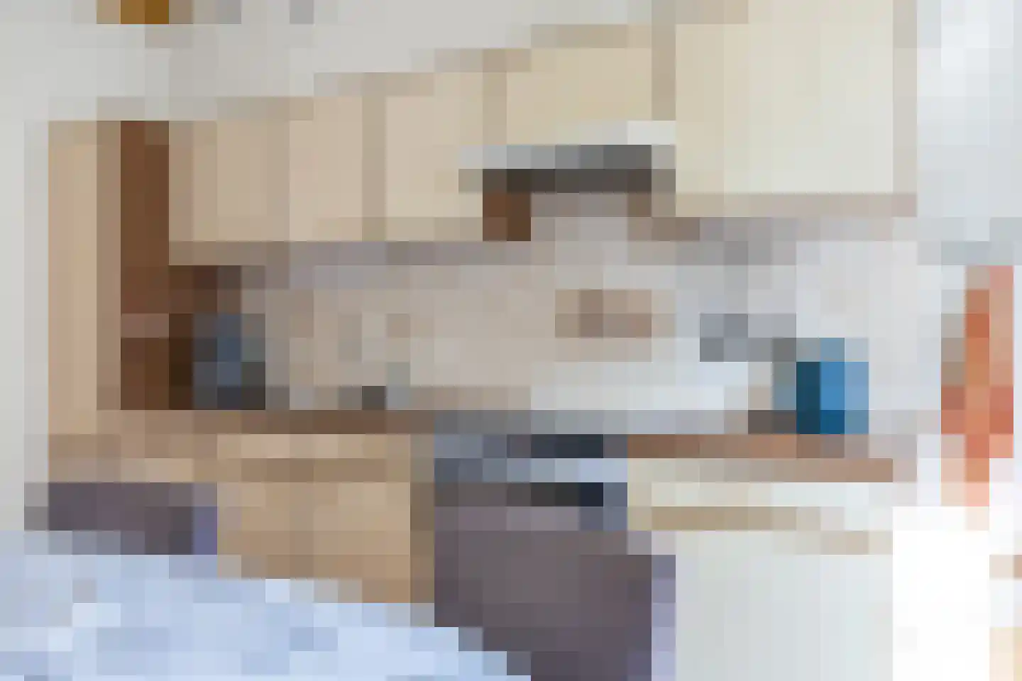 Singelweg 1 Grijpskerk thumbnail 15