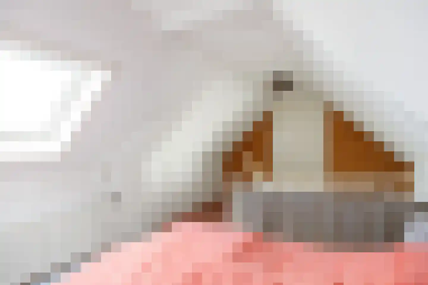 Singelweg 1 Grijpskerk thumbnail 21