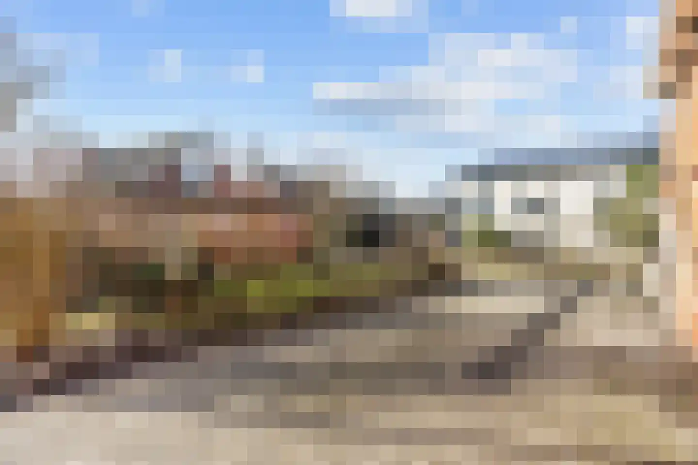 Singelweg 1 Grijpskerk thumbnail 24
