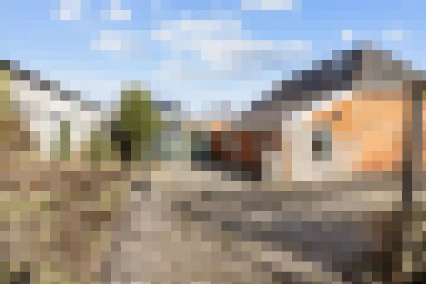 Singelweg 1 Grijpskerk thumbnail 27