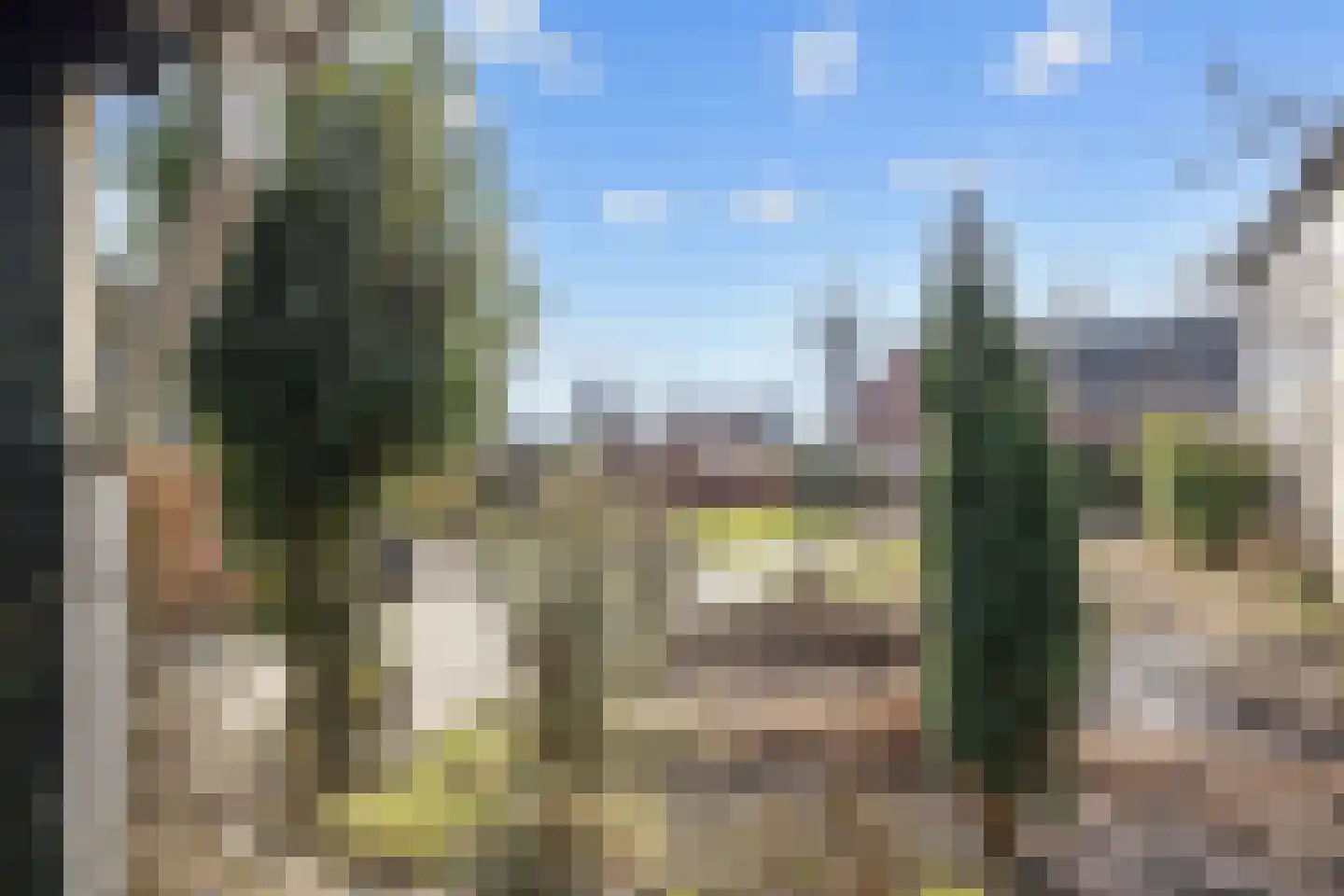 Singelweg 1 Grijpskerk thumbnail 30
